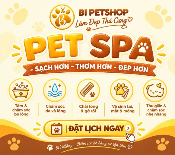 PET SPA TẠI BI PETSHOP