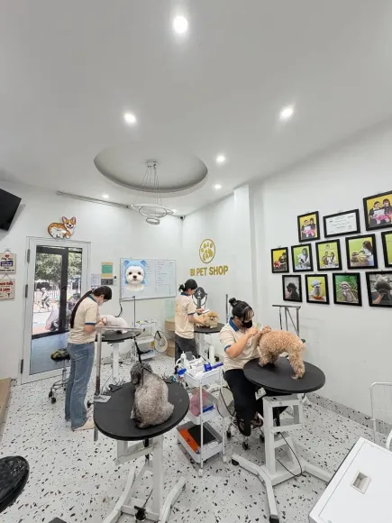 Tin tức