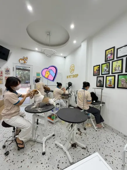 Tin tức