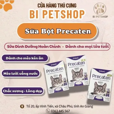Dây Yếm Dắt Vịt Vàng