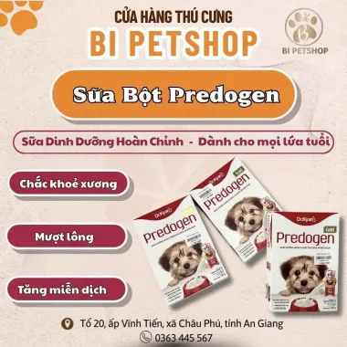 Dây Yếm Dắt Vịt Vàng