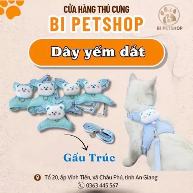 Dây Yếm Dắt Vịt Vàng