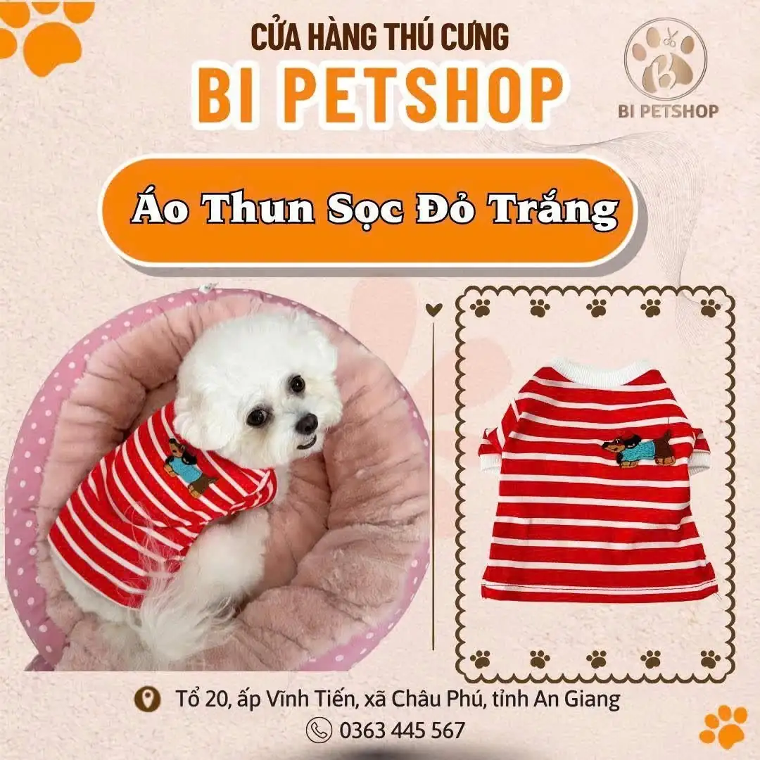 Áo Thun Sọc Đỏ Trắng