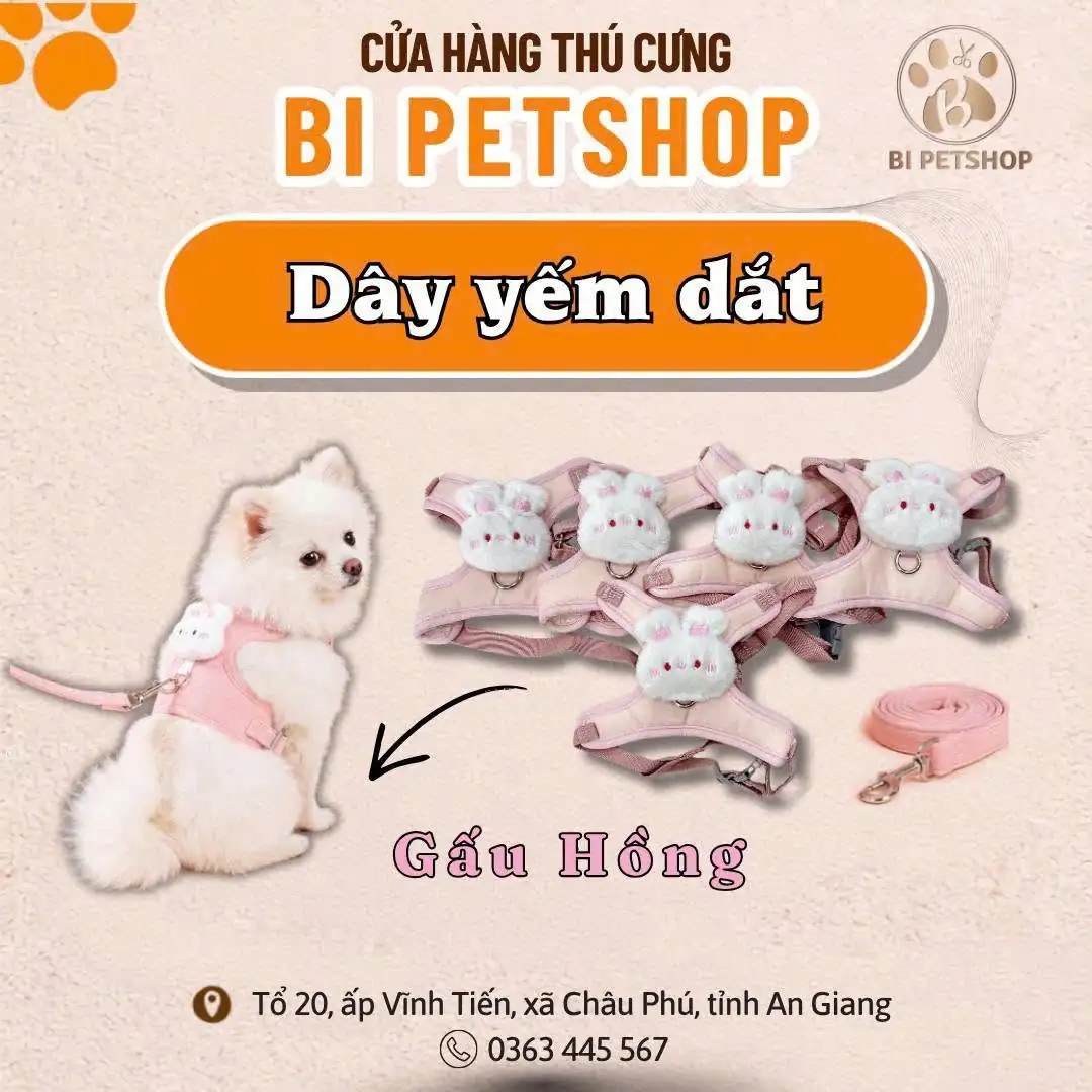 Dây Yếm Dắt Gấu Hồng