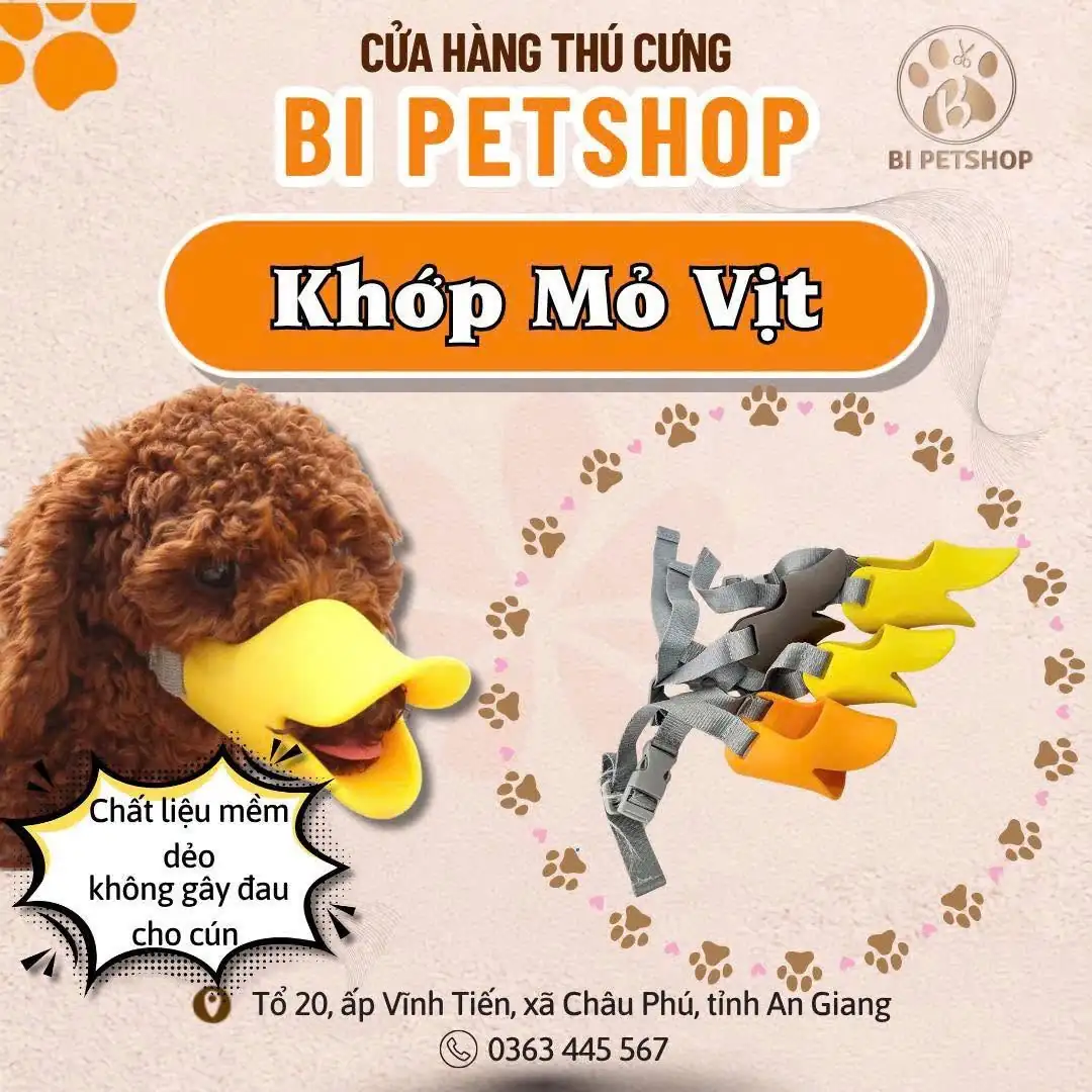 Khớp Mỏ Vịt